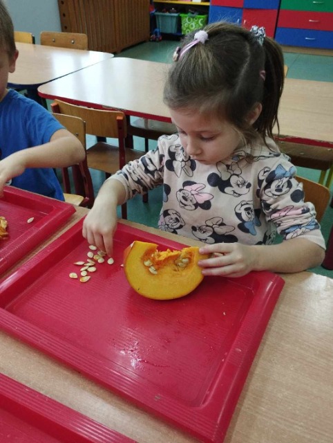 SP Sokołowiec - Dzień dyni w przedszkolu