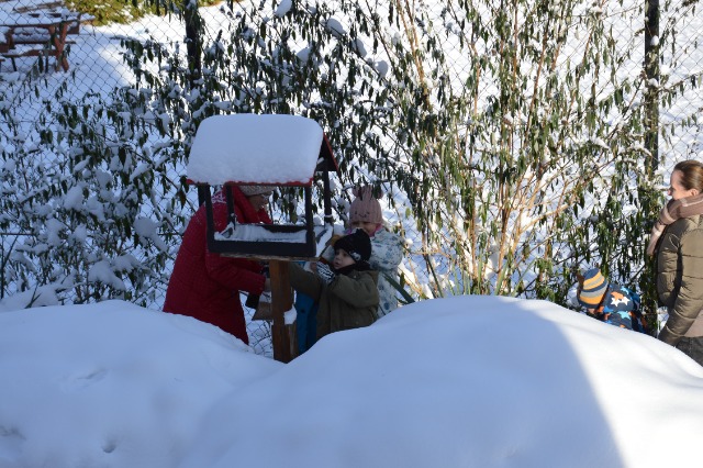 SP Sokołowiec - Przedszkolaki dokarmiają ptaki….