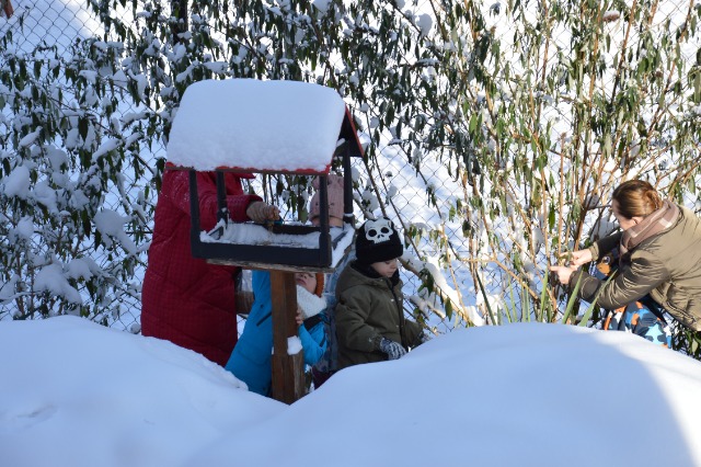 SP Sokołowiec - Przedszkolaki dokarmiają ptaki….