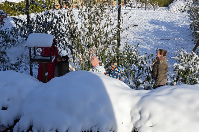 SP Sokołowiec - Przedszkolaki dokarmiają ptaki….