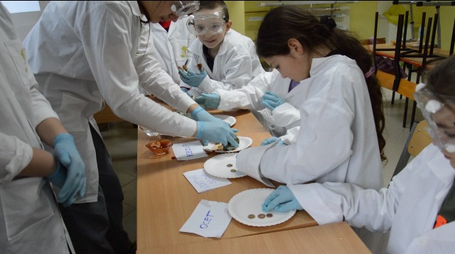 SP Sokołowiec - O pieniądzach inaczej – lekcja chemii…