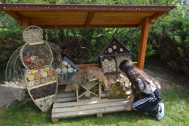 SP Sokołowiec - W naszym magicznym ogrodzie oj dzieje się…..