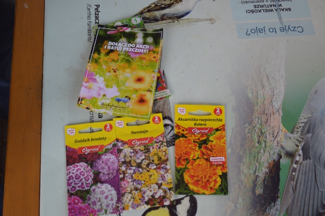 SP Sokołowiec - W naszym magicznym ogrodzie oj dzieje się…..