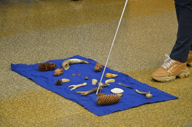 SP Sokołowiec - Zajęcia przyrodnicze…