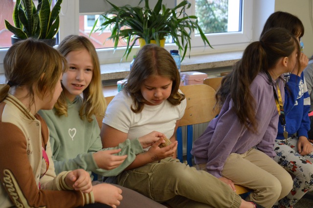 SP Sokołowiec - Zajęcia przyrodnicze…