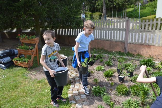 SP Sokołowiec - W naszym „magicznym ogrodzie” dzieje się….