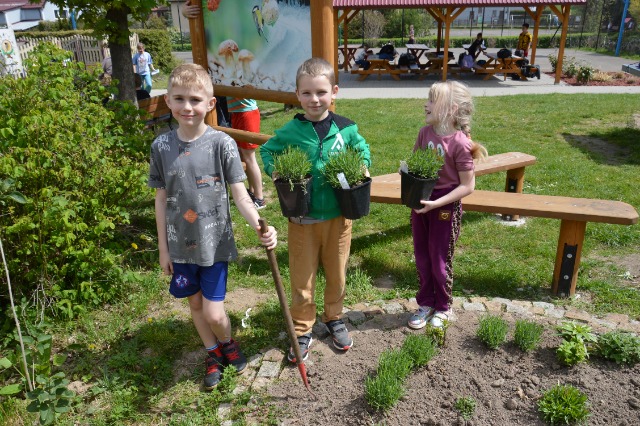 SP Sokołowiec - W naszym „magicznym ogrodzie” dzieje się….