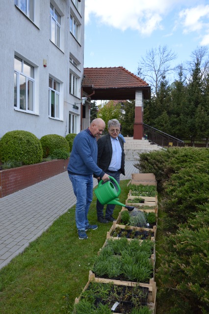 SP Sokołowiec - W naszym „magicznym ogrodzie” dzieje się….