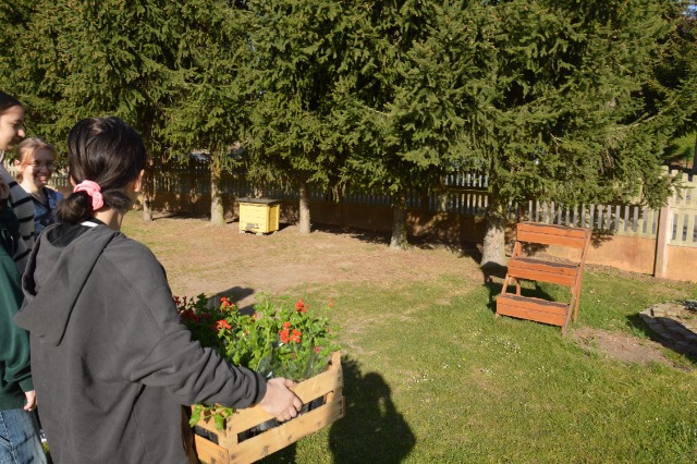 SP Sokołowiec - W naszym „magicznym ogrodzie” dzieje się….