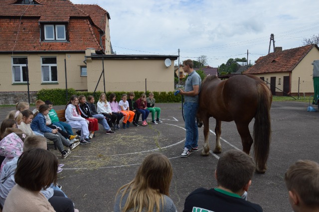 SP Sokołowiec - Prrrr! Iha! Wiśta - wio!