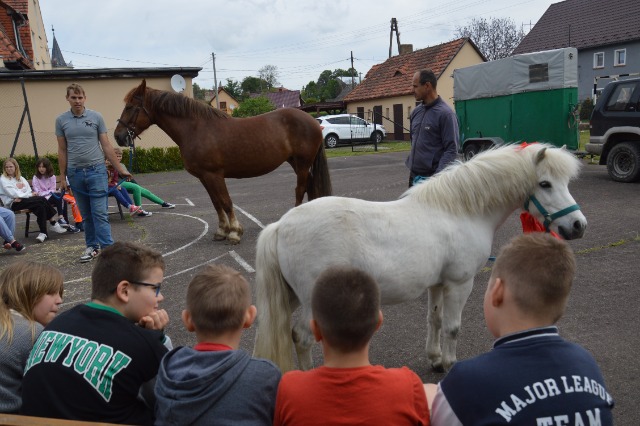SP Sokołowiec - Prrrr! Iha! Wiśta - wio!