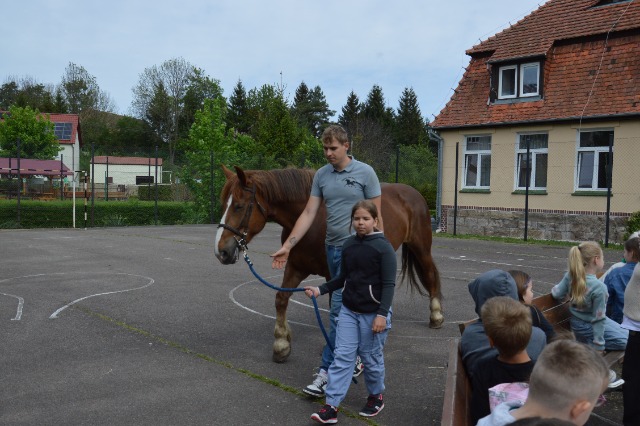SP Sokołowiec - Prrrr! Iha! Wiśta - wio!