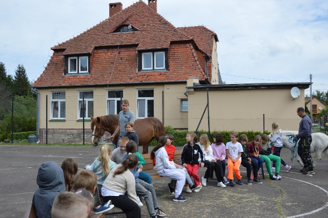 SP Sokołowiec - Prrrr! Iha! Wiśta - wio!