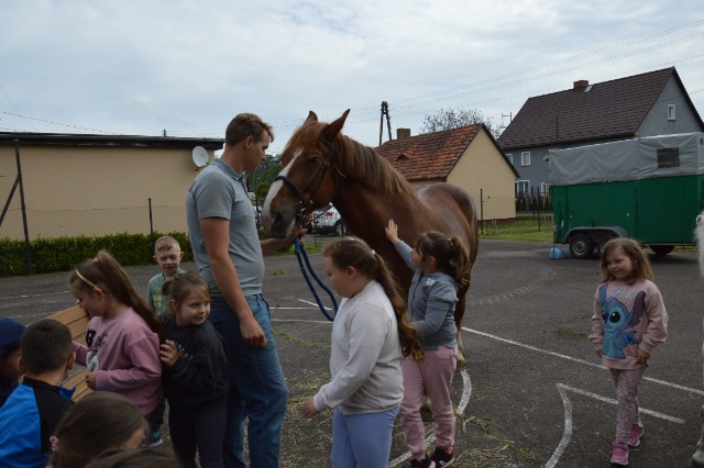 SP Sokołowiec - Prrrr! Iha! Wiśta - wio!
