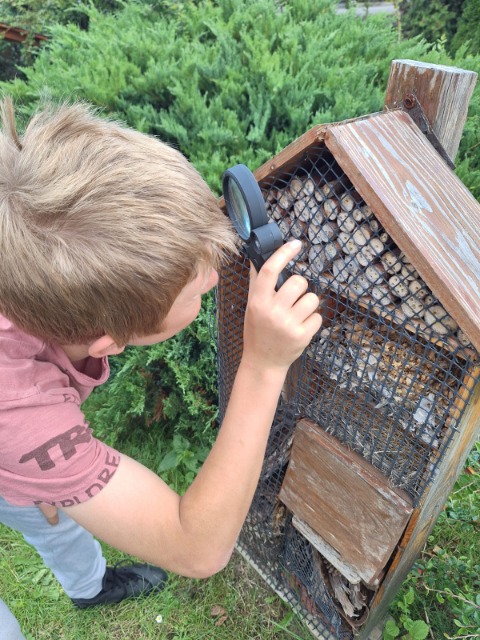 SP Sokołowiec - AHOJ PRZYGODO!!!!