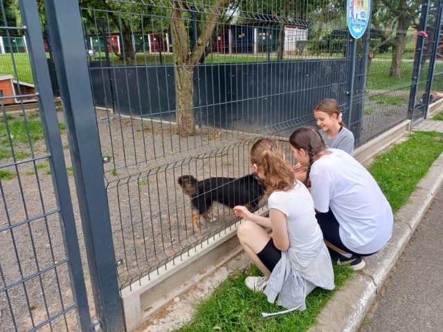 SP Sokołowiec - „CZYNIĆ DOBRO  - WAŻNA SPRAWA!”