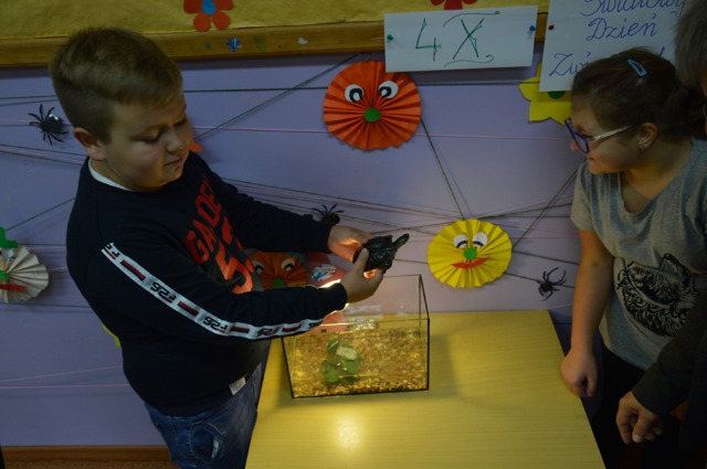 SP Sokołowiec - Światowy Dzień Zwierząt