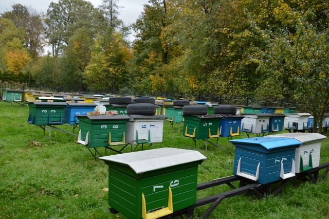SP Sokołowiec - PIERWSZAKI Z WIZYTĄ W PASIECE