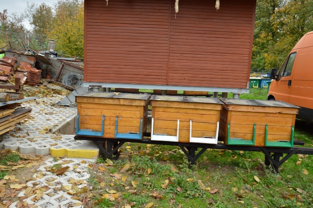 SP Sokołowiec - PIERWSZAKI Z WIZYTĄ W PASIECE