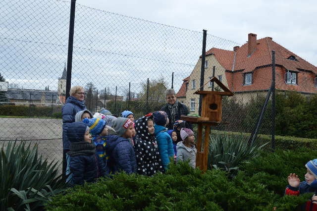 SP Sokołowiec -  Dokarmiamy ptaki