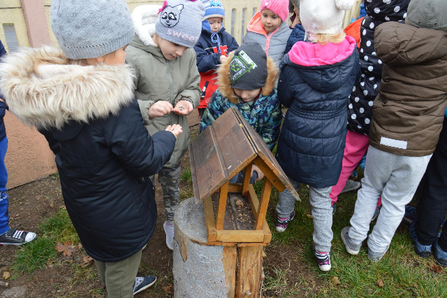 SP Sokołowiec -  Dokarmiamy ptaki