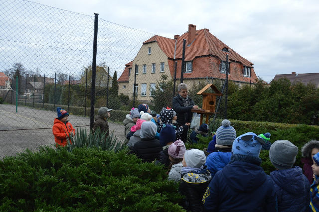 SP Sokołowiec -  Dokarmiamy ptaki
