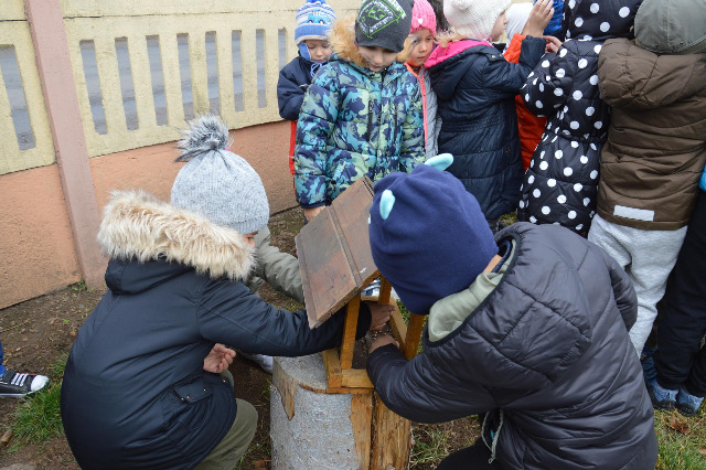 SP Sokołowiec -  Dokarmiamy ptaki