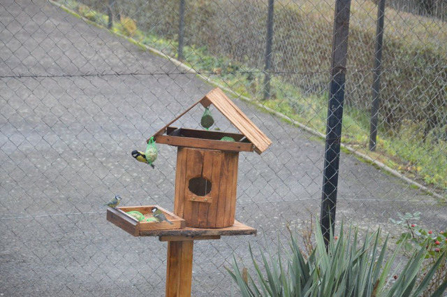 SP Sokołowiec - W szkolnej stołówce duży ruch