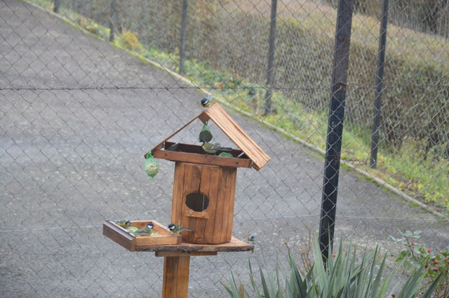SP Sokołowiec - W szkolnej stołówce duży ruch