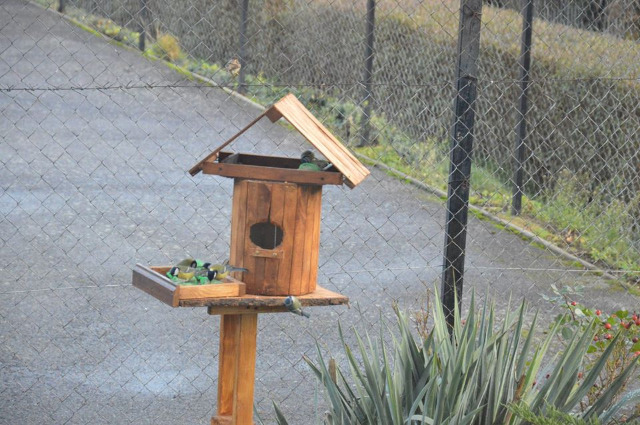 SP Sokołowiec - W szkolnej stołówce duży ruch
