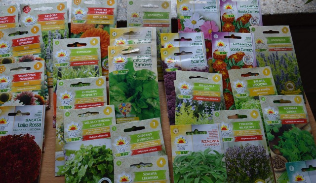 SP Sokołowiec - Magiczny ogród c.d…..