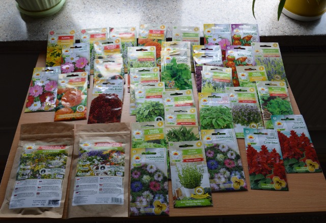 SP Sokołowiec - Magiczny ogród c.d…..