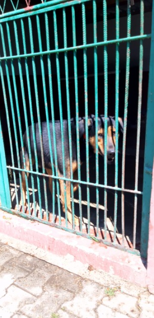 SP Sokołowiec - Pomoc ze szczerego serca ……