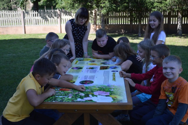SP Sokołowiec - W naszym MAGICZNYM OGRODZIE dzieje się.....