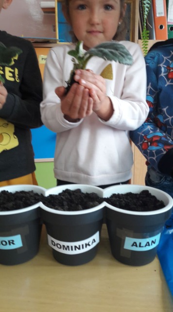 SP Sokołowiec - Warsztaty ekologiczne…