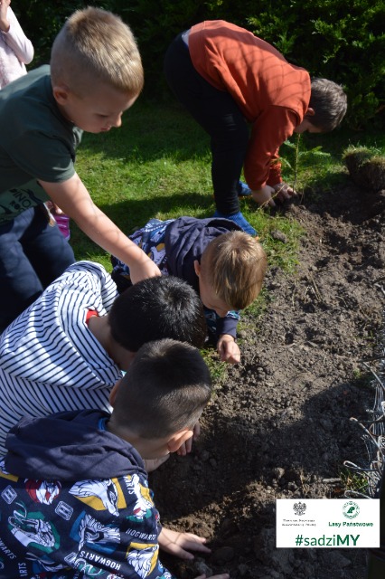 SP Sokołowiec - #sadziMY las 2021…