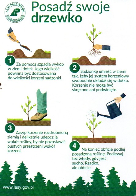 SP Sokołowiec - #sadziMY las 2021…