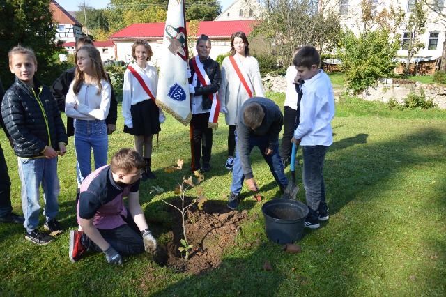 SP Sokołowiec - 75-lecie Szkoły Podstawowej im. Jadwigi Śląskiej w Sokołowcu
