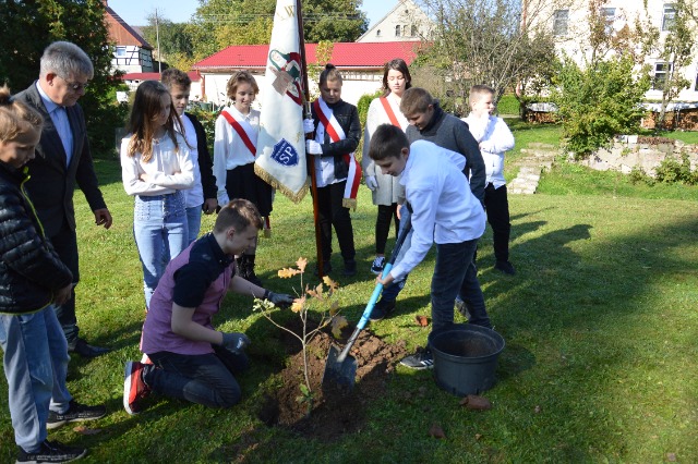 SP Sokołowiec - 75-lecie Szkoły Podstawowej im. Jadwigi Śląskiej w Sokołowcu
