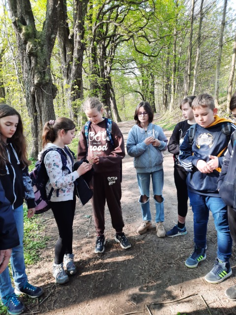 SP Sokołowiec - Wąwóz Myśliborski…