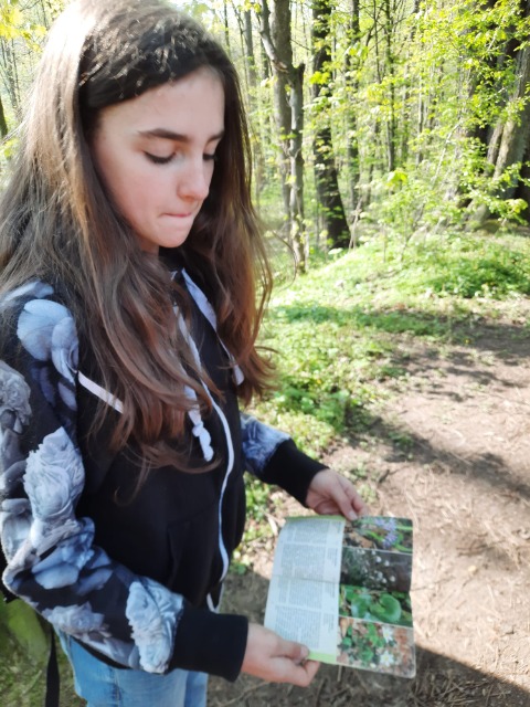 SP Sokołowiec - Wąwóz Myśliborski…