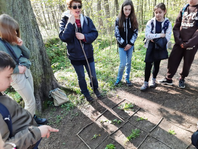 SP Sokołowiec - Wąwóz Myśliborski…