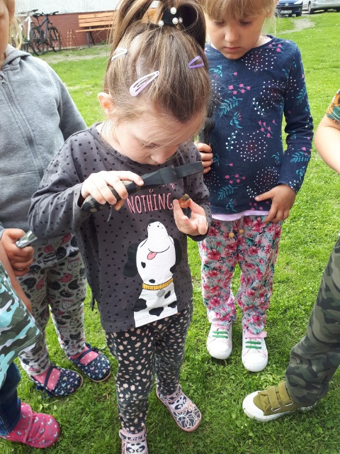 SP Sokołowiec - W naszym magicznym ogrodzie ….