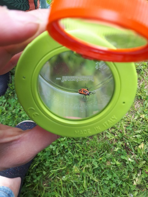 SP Sokołowiec - W naszym magicznym ogrodzie ….