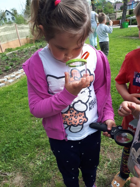 SP Sokołowiec - W naszym magicznym ogrodzie ….