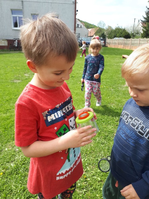 SP Sokołowiec - W naszym magicznym ogrodzie ….