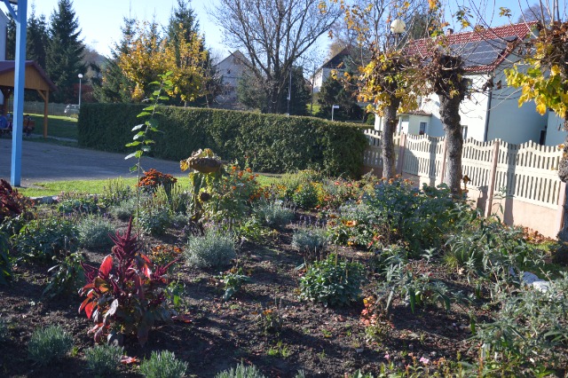 SP Sokołowiec - Listopadowy czar…..