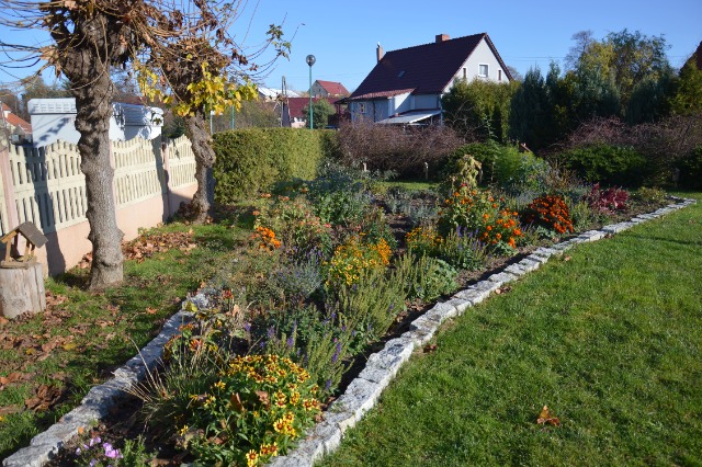 SP Sokołowiec - Listopadowy czar…..