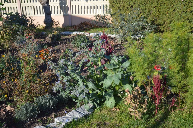 SP Sokołowiec - Listopadowy czar…..