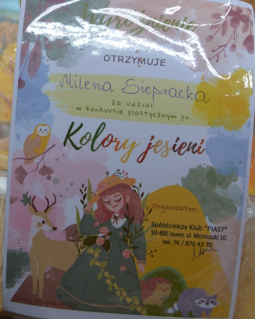 SP Sokołowiec - Wyróżnienia…